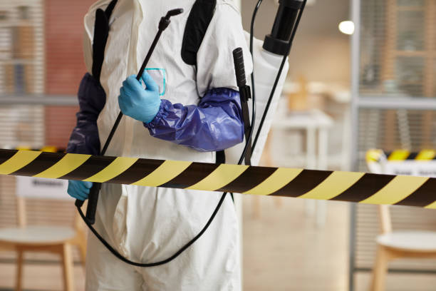 Professional Sewage Cleanup technician working in Graham, TX